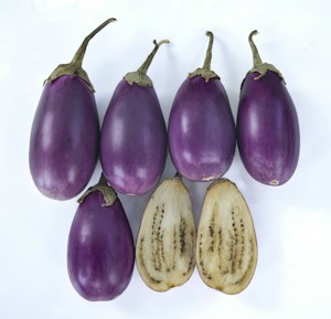Aubergines fraîches