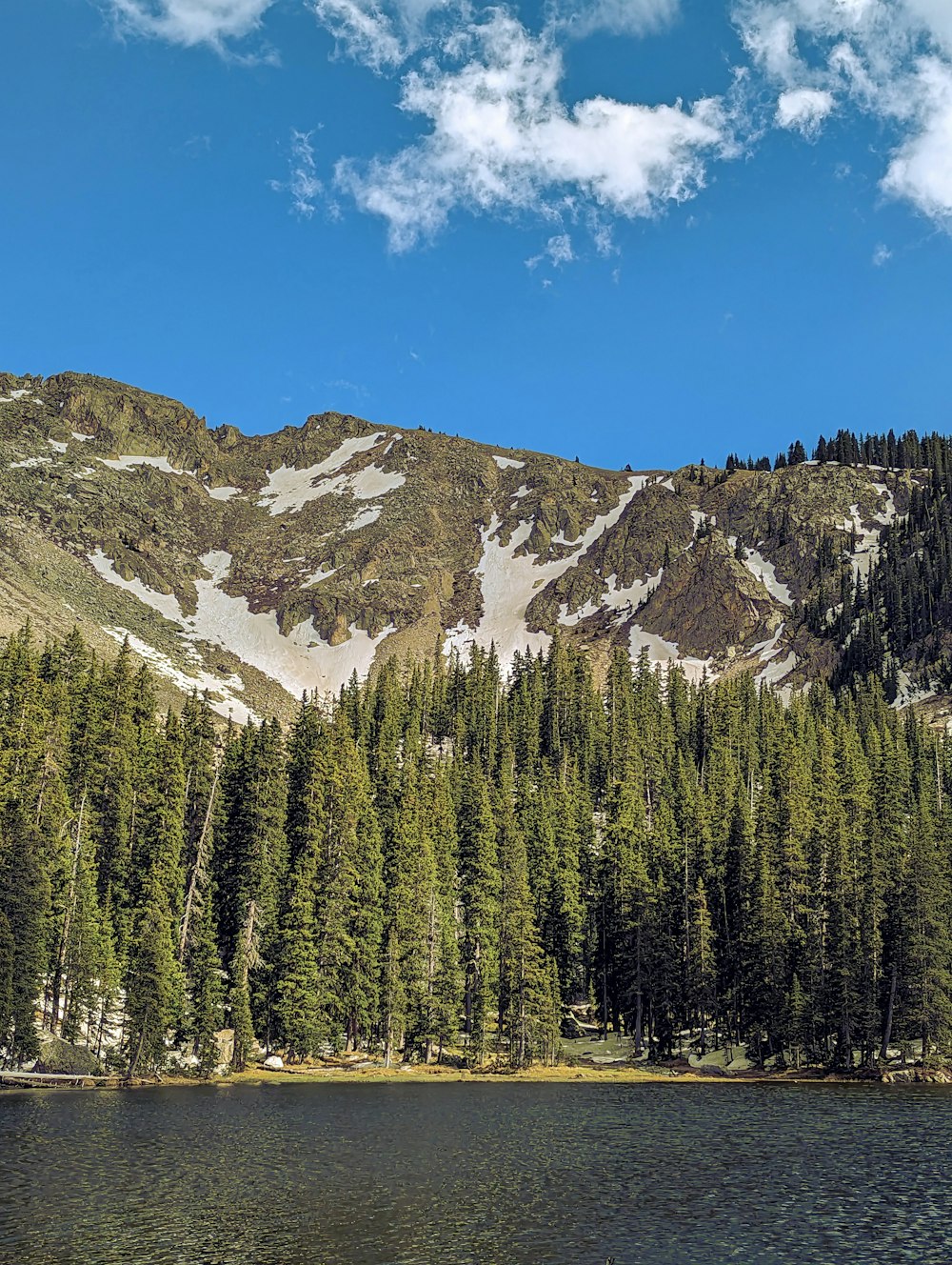 um lago cercado por árvores com uma montanha ao fundo