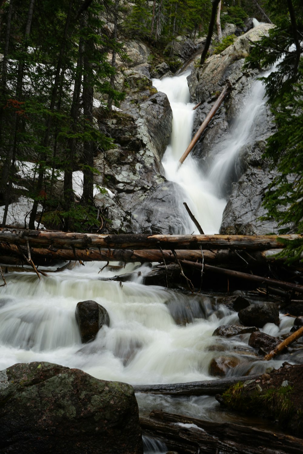 a stream running through a forest filled with rocks