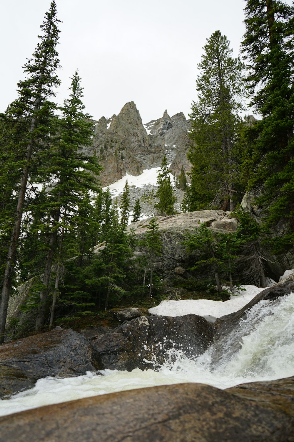 a man standing on top of a waterfall next to a forest