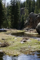 A peaceful nature scene symbolizing relaxation and healing energy.