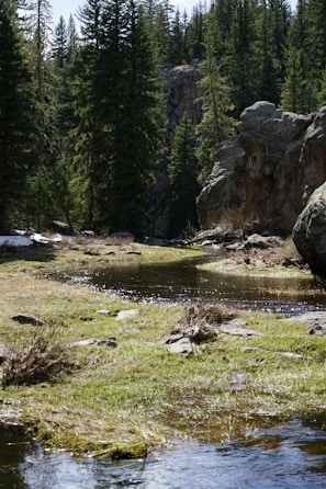 A peaceful nature scene symbolizing relaxation and healing energy.