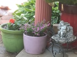 Several potted plants are arranged outdoors, featuring vibrant green foliage and colorful blossoms. A small statue of a cherub is placed in a decorative metal frame, creating a charming garden setting.