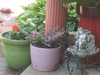 Several potted plants are arranged outdoors, featuring vibrant green foliage and colorful blossoms. A small statue of a cherub is placed in a decorative metal frame, creating a charming garden setting.
