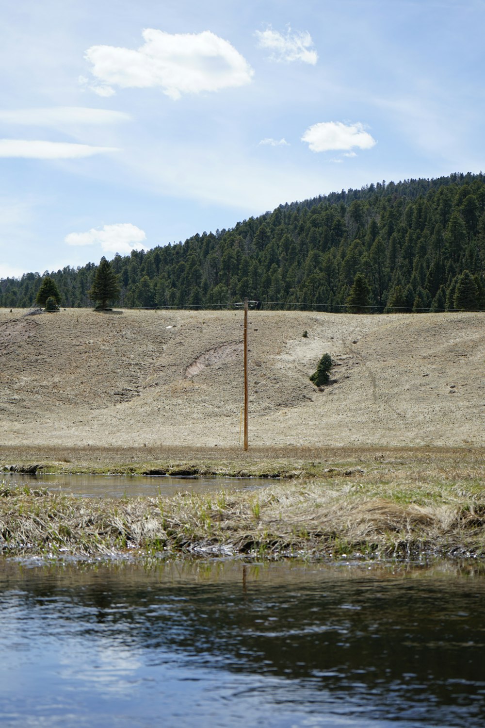 a river running through a dry grass field