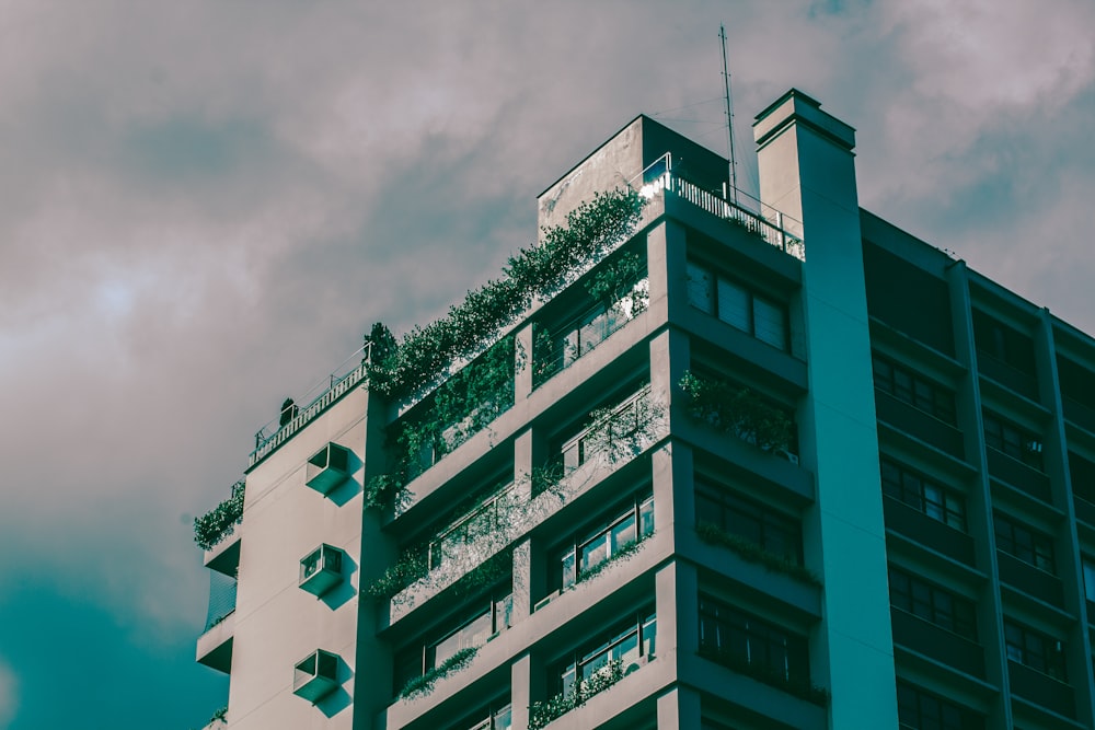 a tall building with a plant growing on the top of it