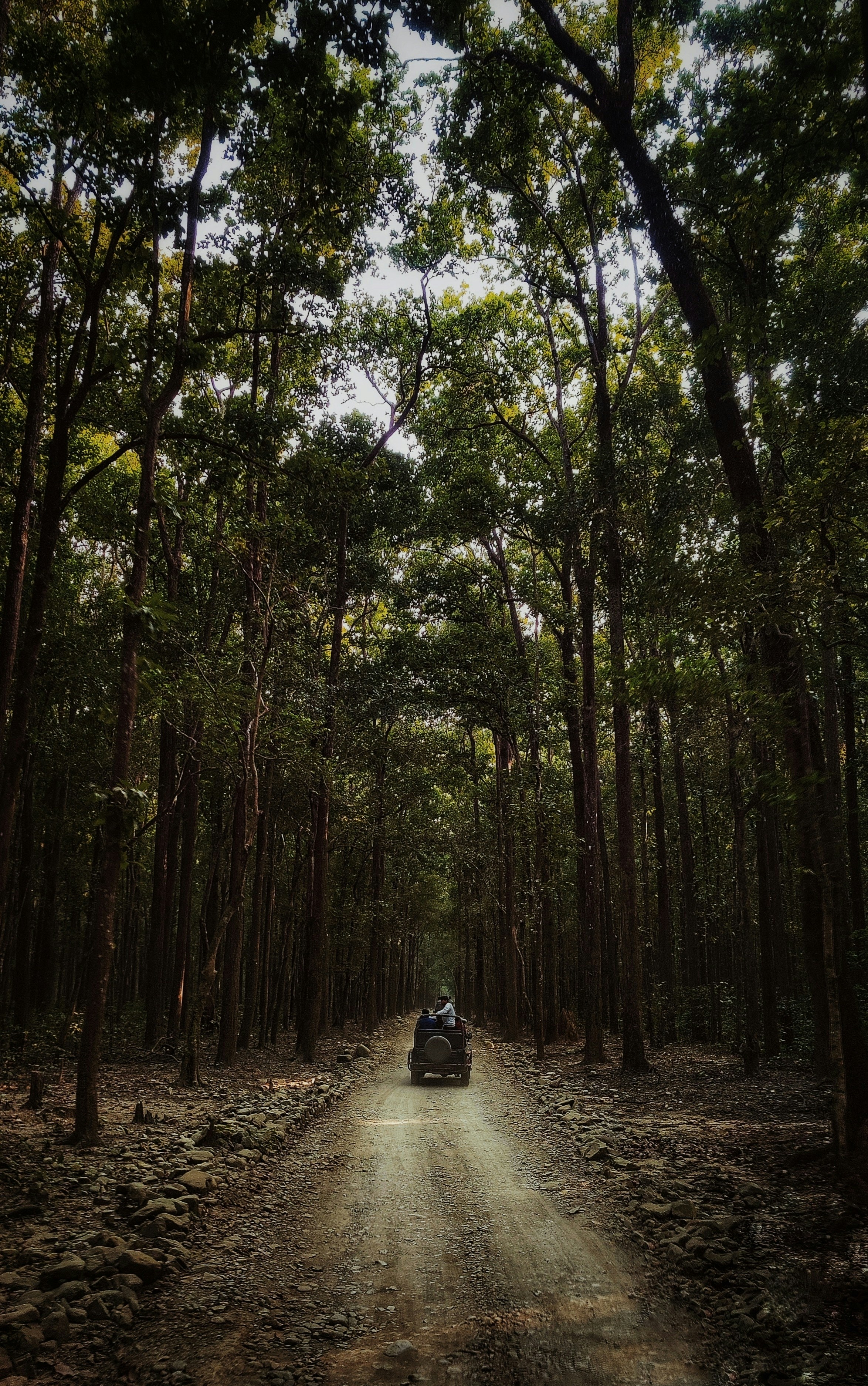 Book Your Wild Escape