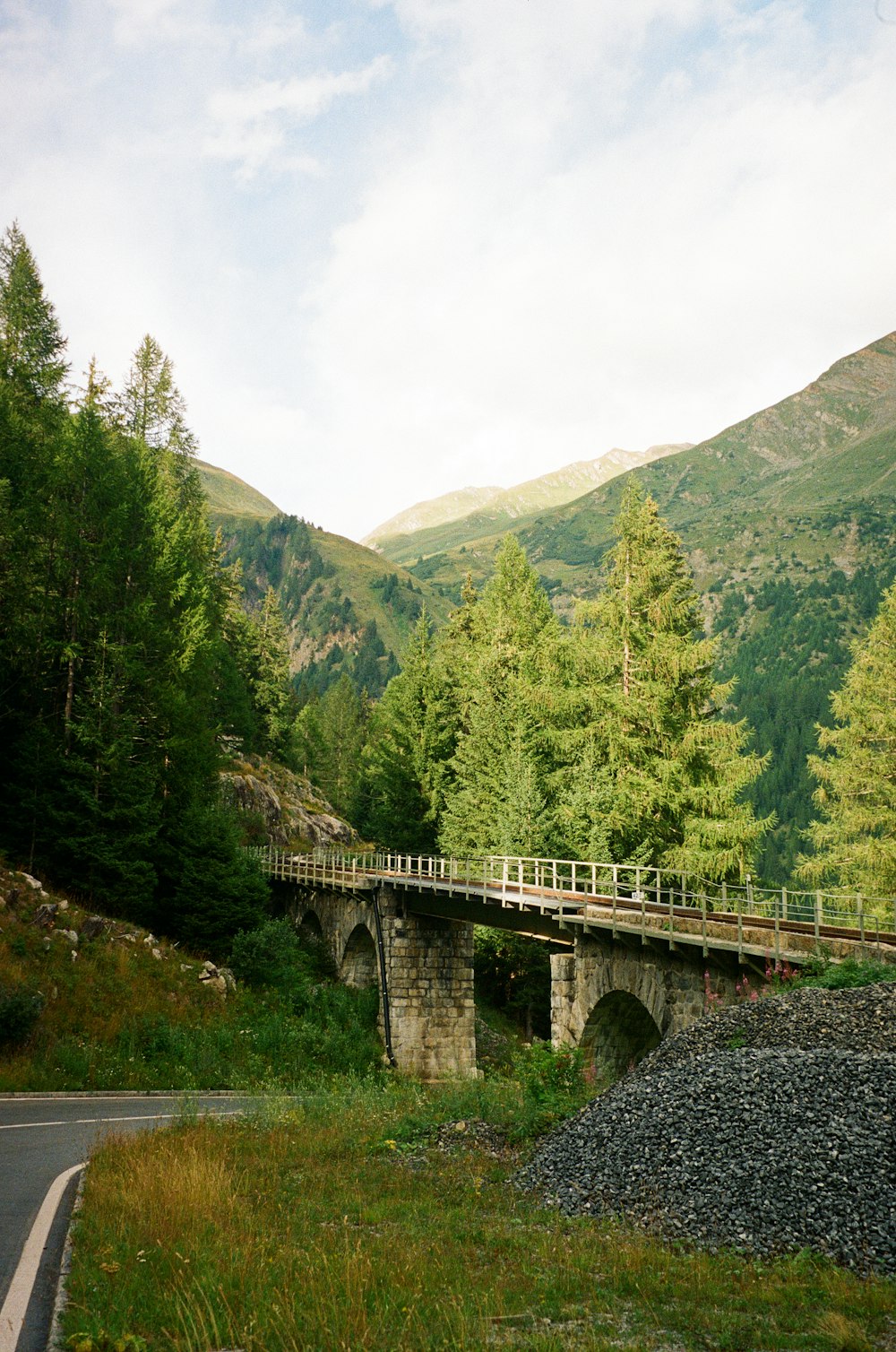 a bridge over a road in the middle of a forest