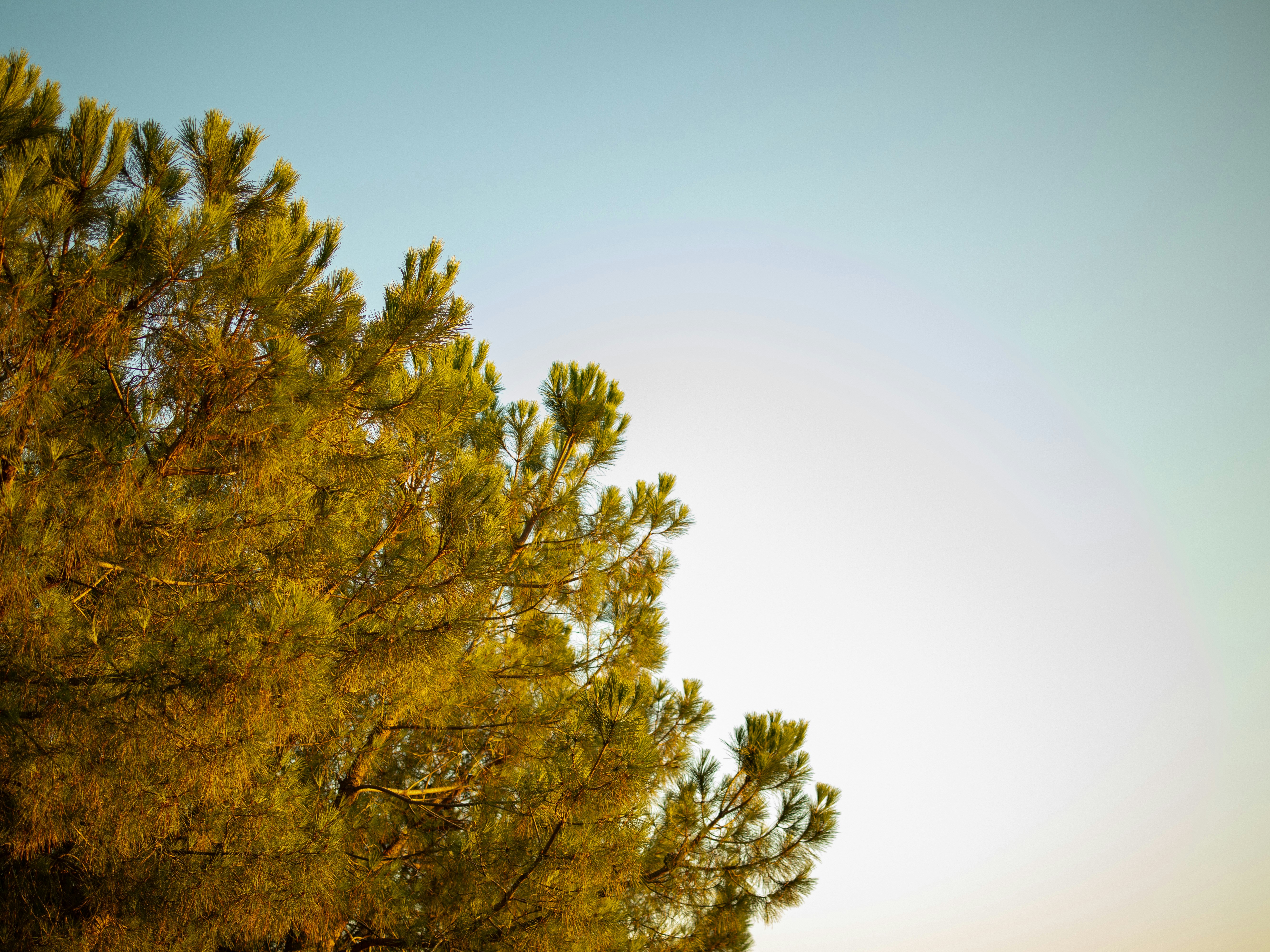 Photo by christian_dubendorfer