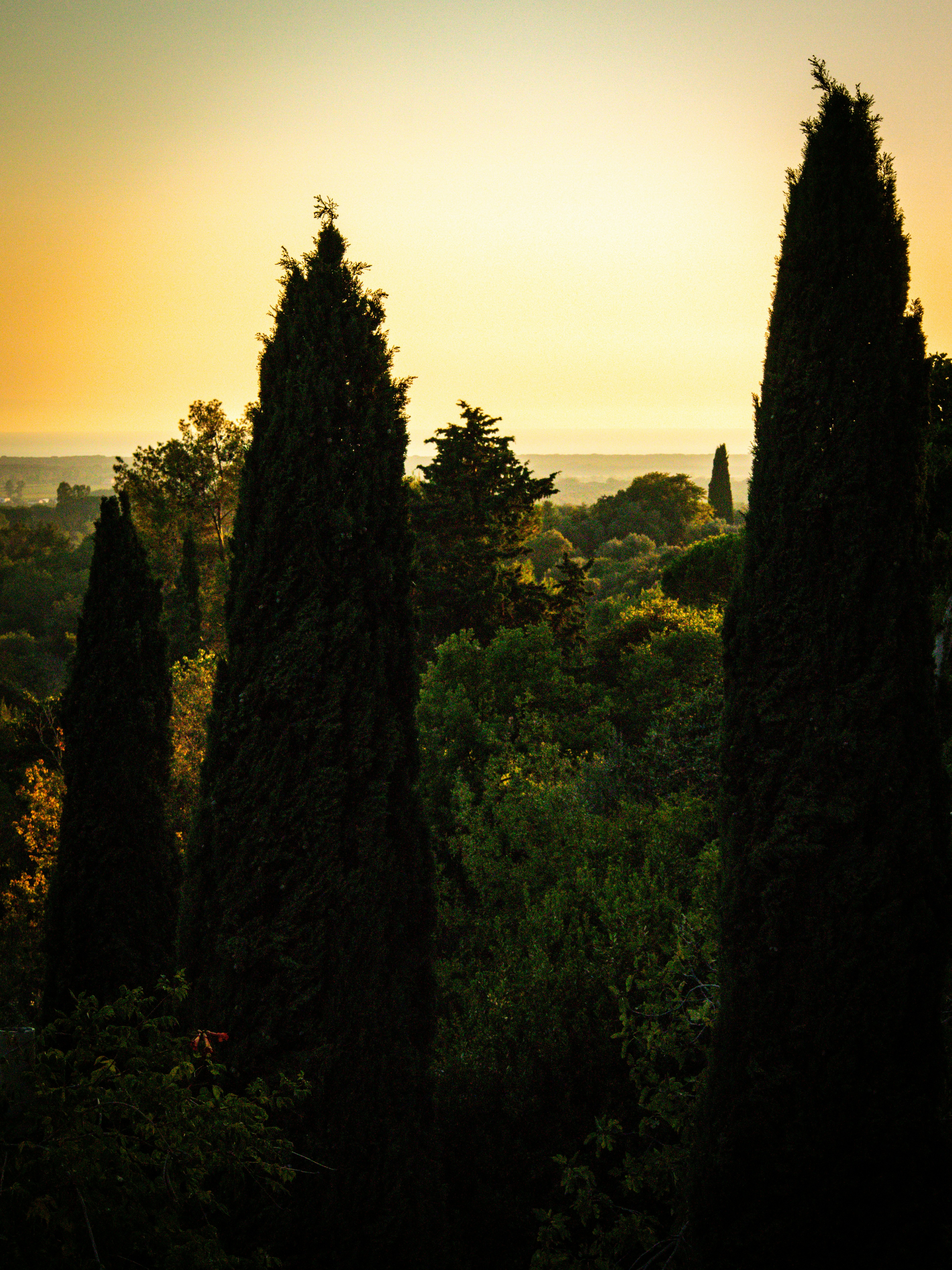 Photo by christian_dubendorfer