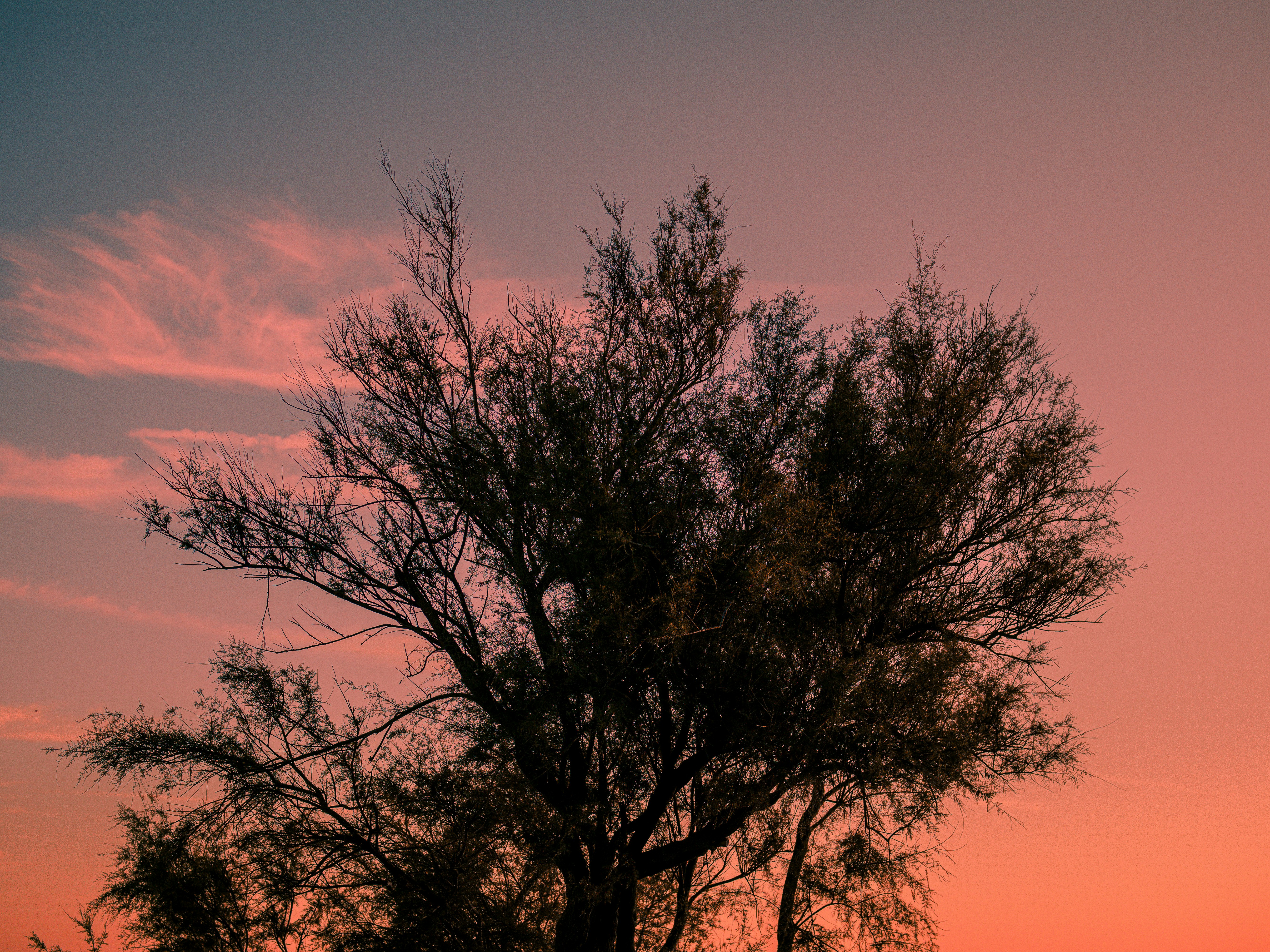 Photo by christian_dubendorfer