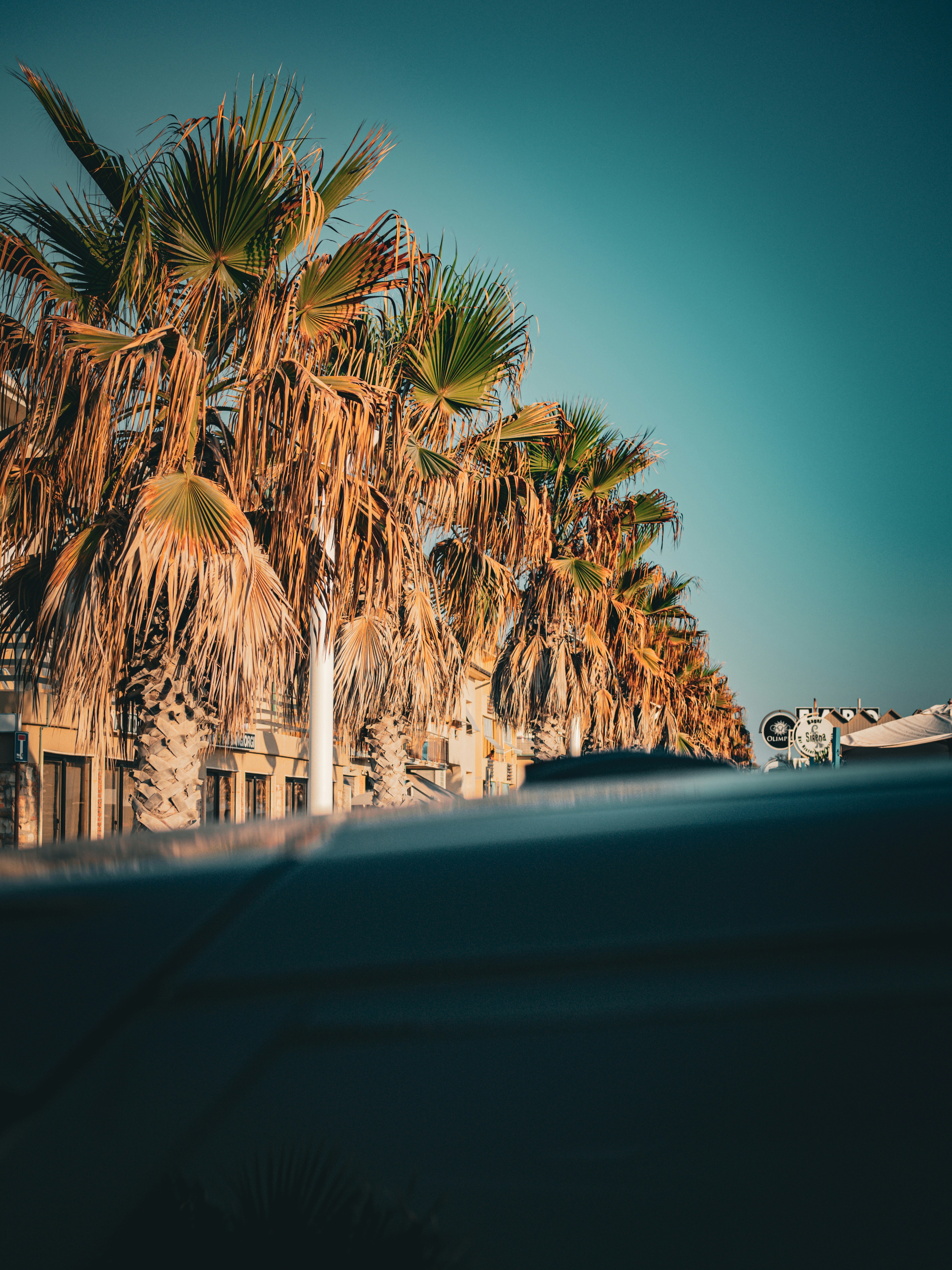 Photo by christian_dubendorfer