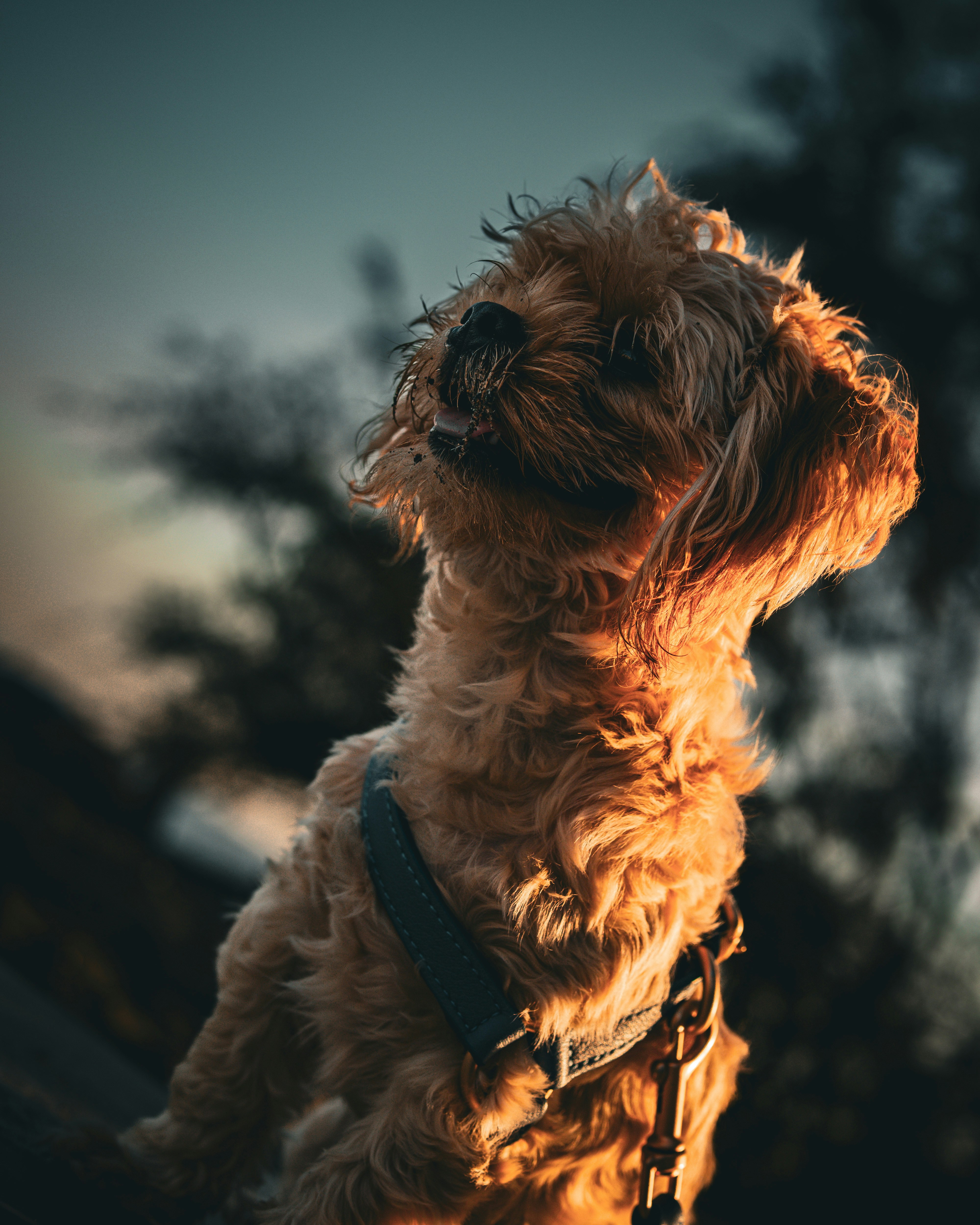 Photo by christian_dubendorfer