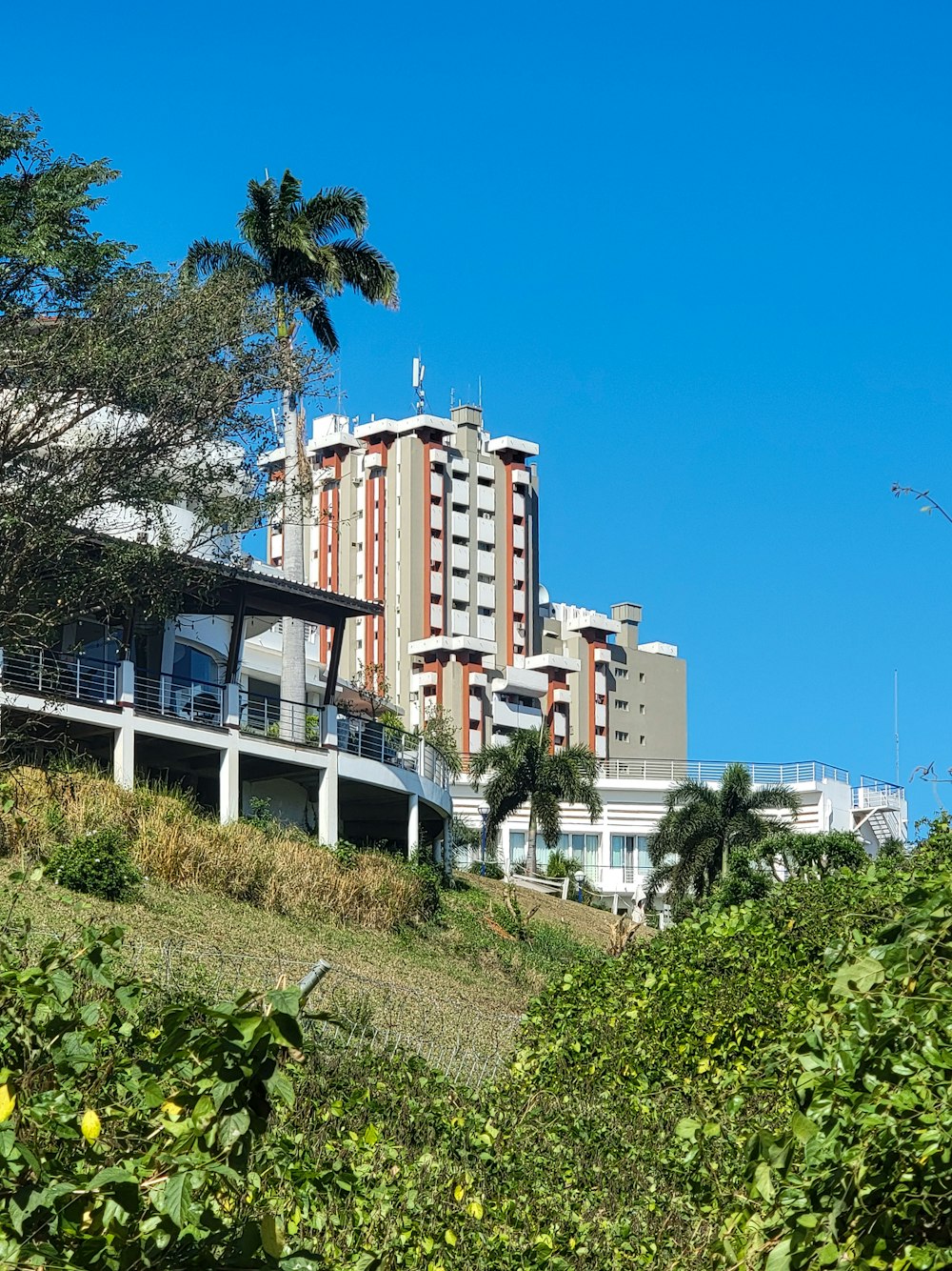 a building on a hill with trees in the foreground