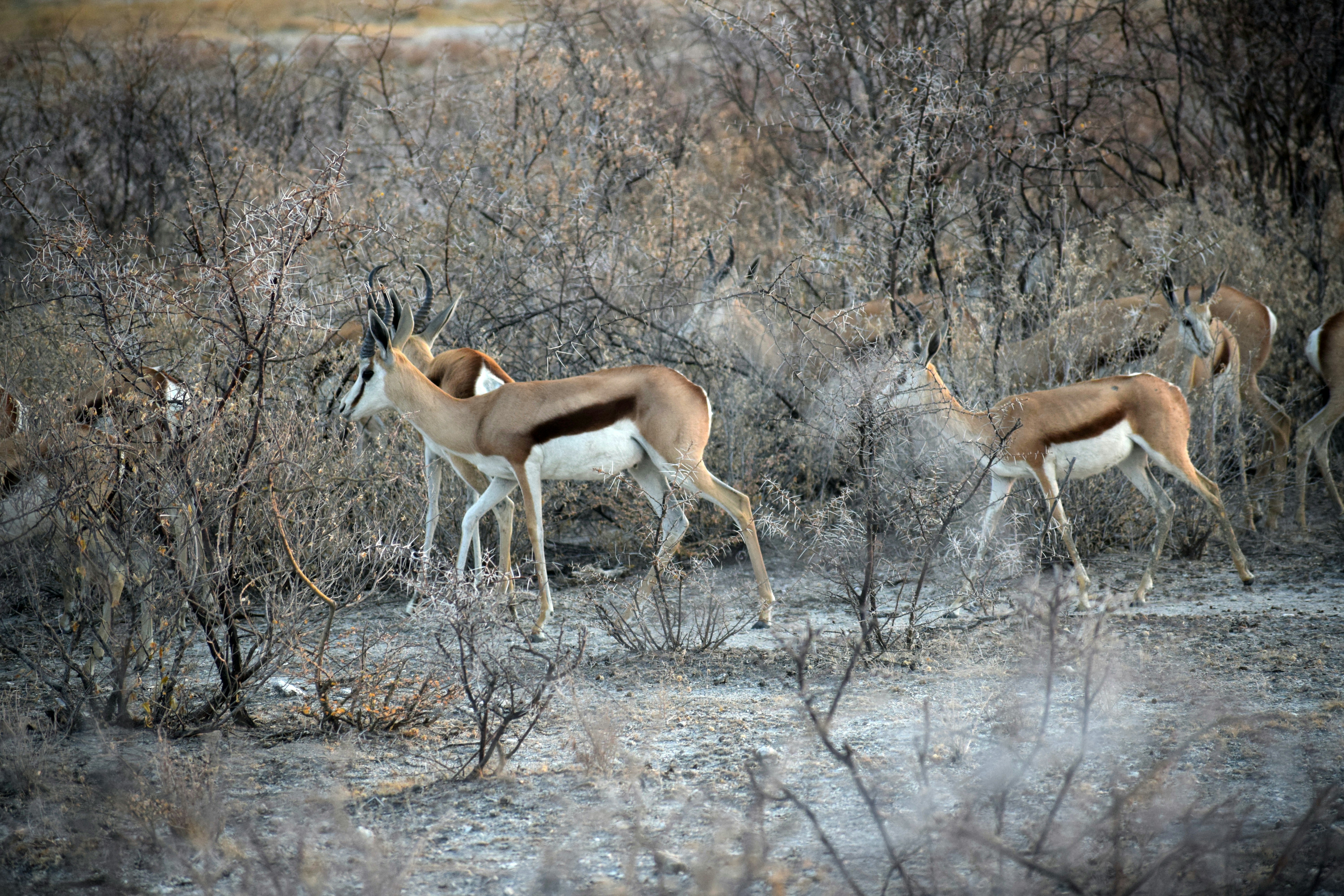 Photo by photoswithgabe