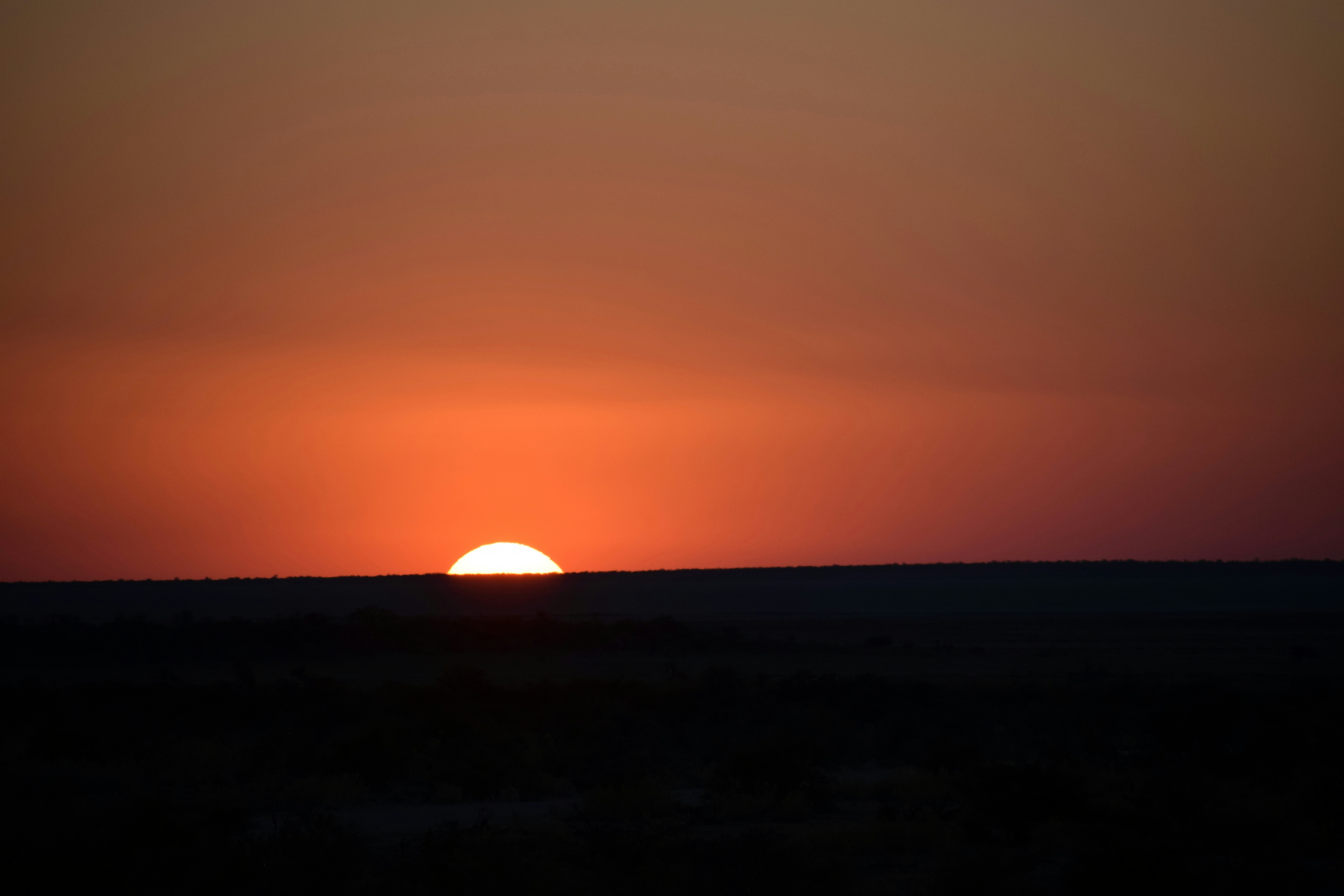 Photo by photoswithgabe