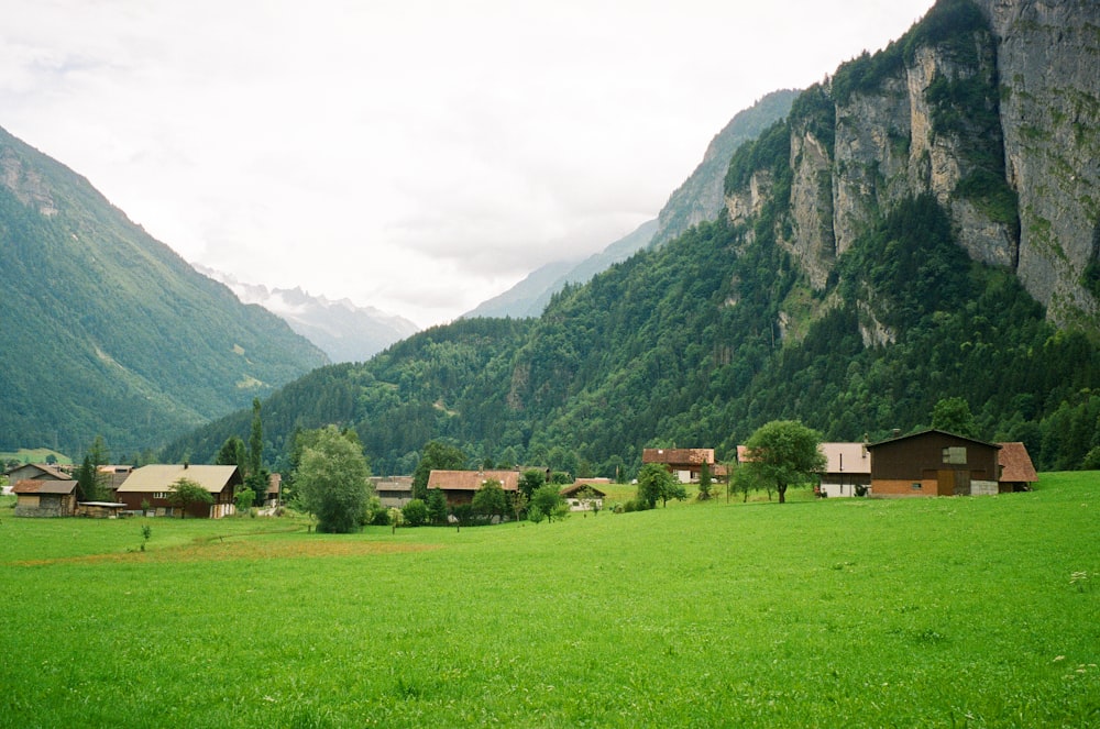 a green field with houses in the mountains