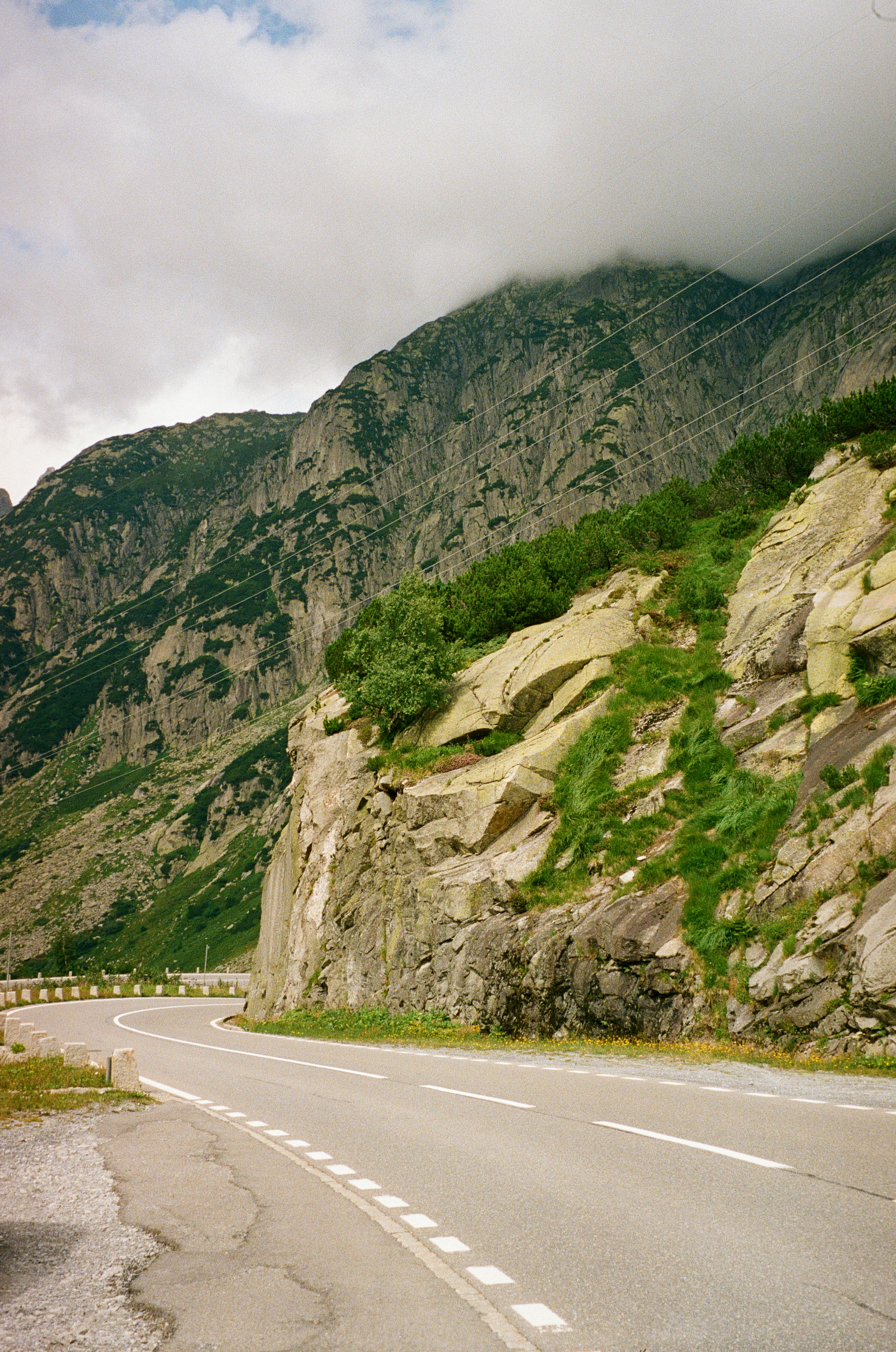 Photo by marynayanul