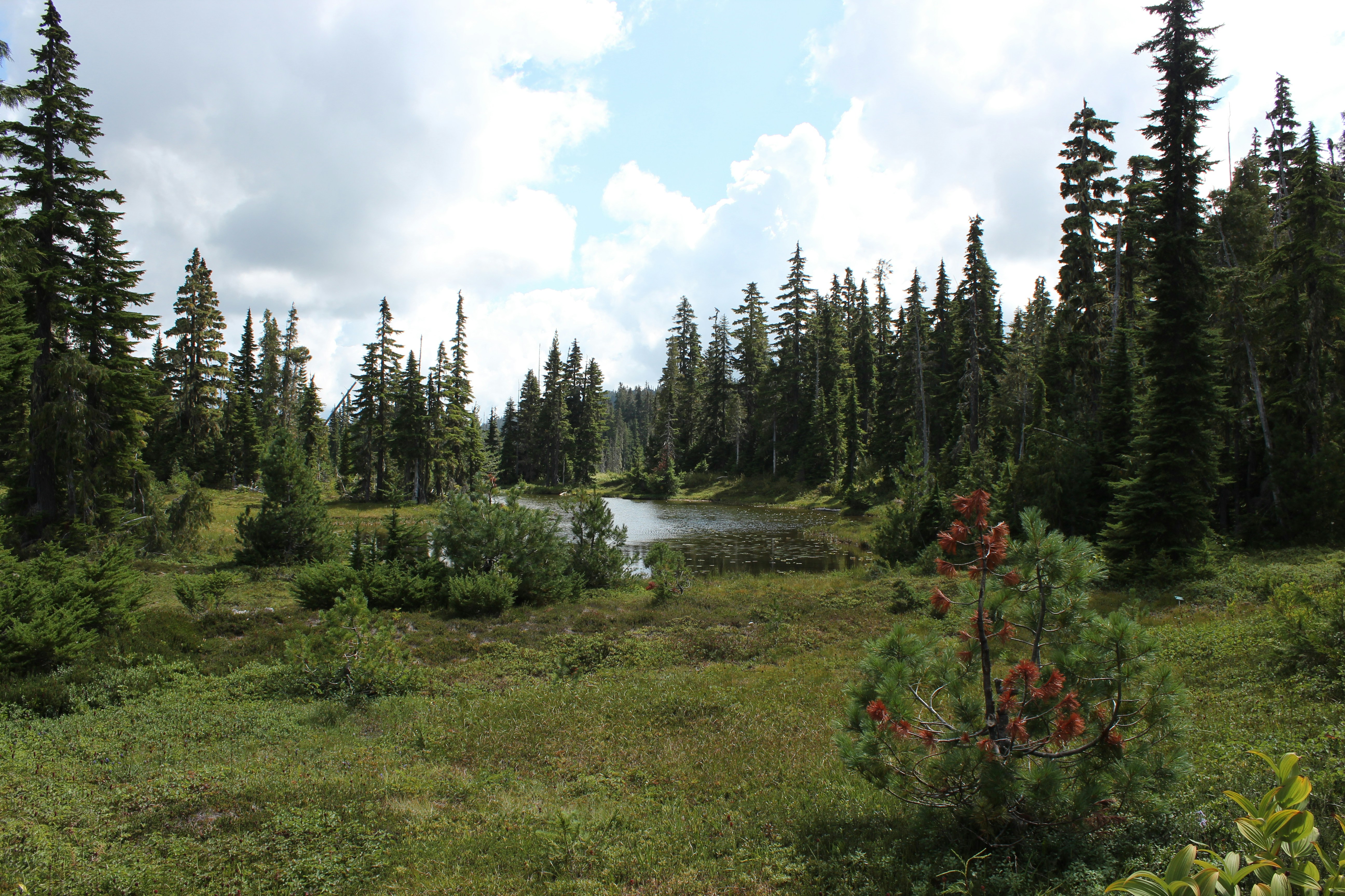 Photo by framesofritu