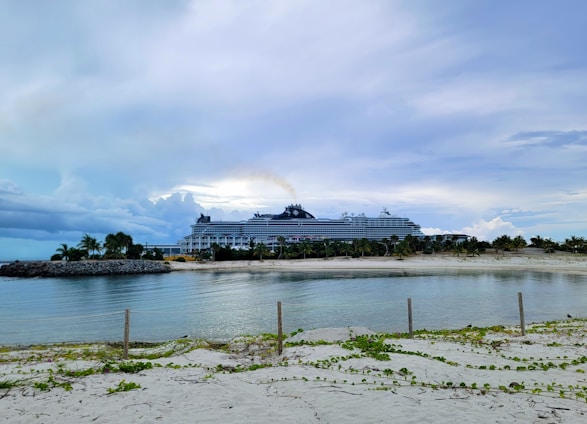 A large cruise ship is docked at a tropical beach setting, surrounded by palm trees and a calm sea. The sky is overcast, with some breaks allowing light to illuminate parts of the scene. The foreground features sandy beach area with patches of green foliage.