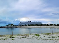 A large cruise ship is docked at a tropical beach setting, surrounded by palm trees and a calm sea. The sky is overcast, with some breaks allowing light to illuminate parts of the scene. The foreground features sandy beach area with patches of green foliage.