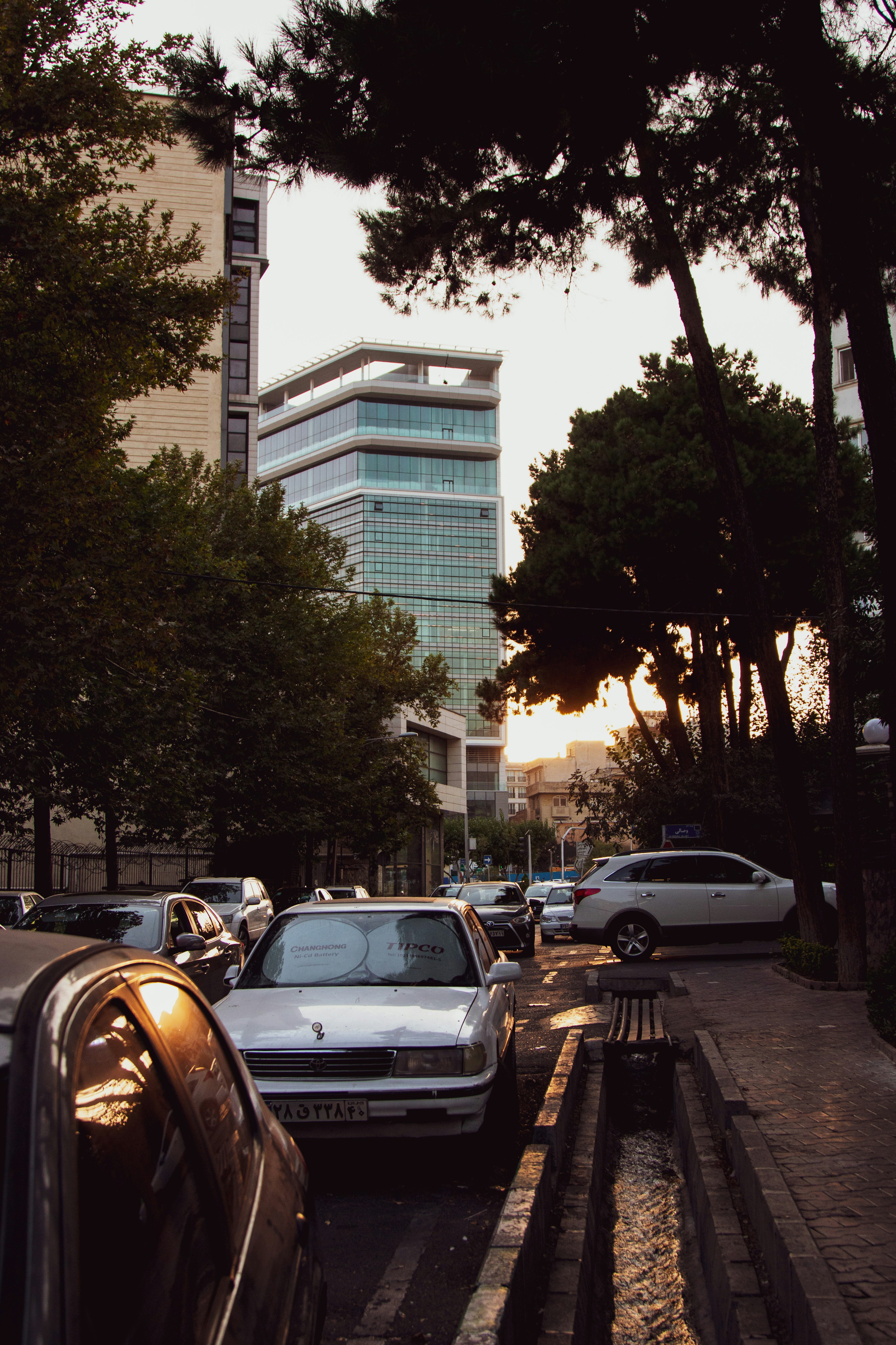 Photo by niilmhb