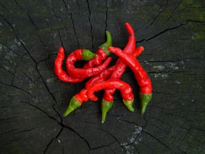 Close-up of colorful Mexican chiles and nuts arranged on a rustic wooden table.