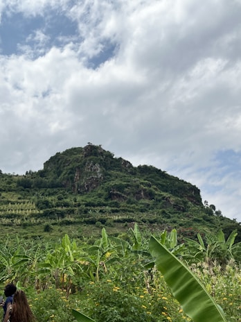 Tourists hiking through lush greenery on the slopes of Maderas.