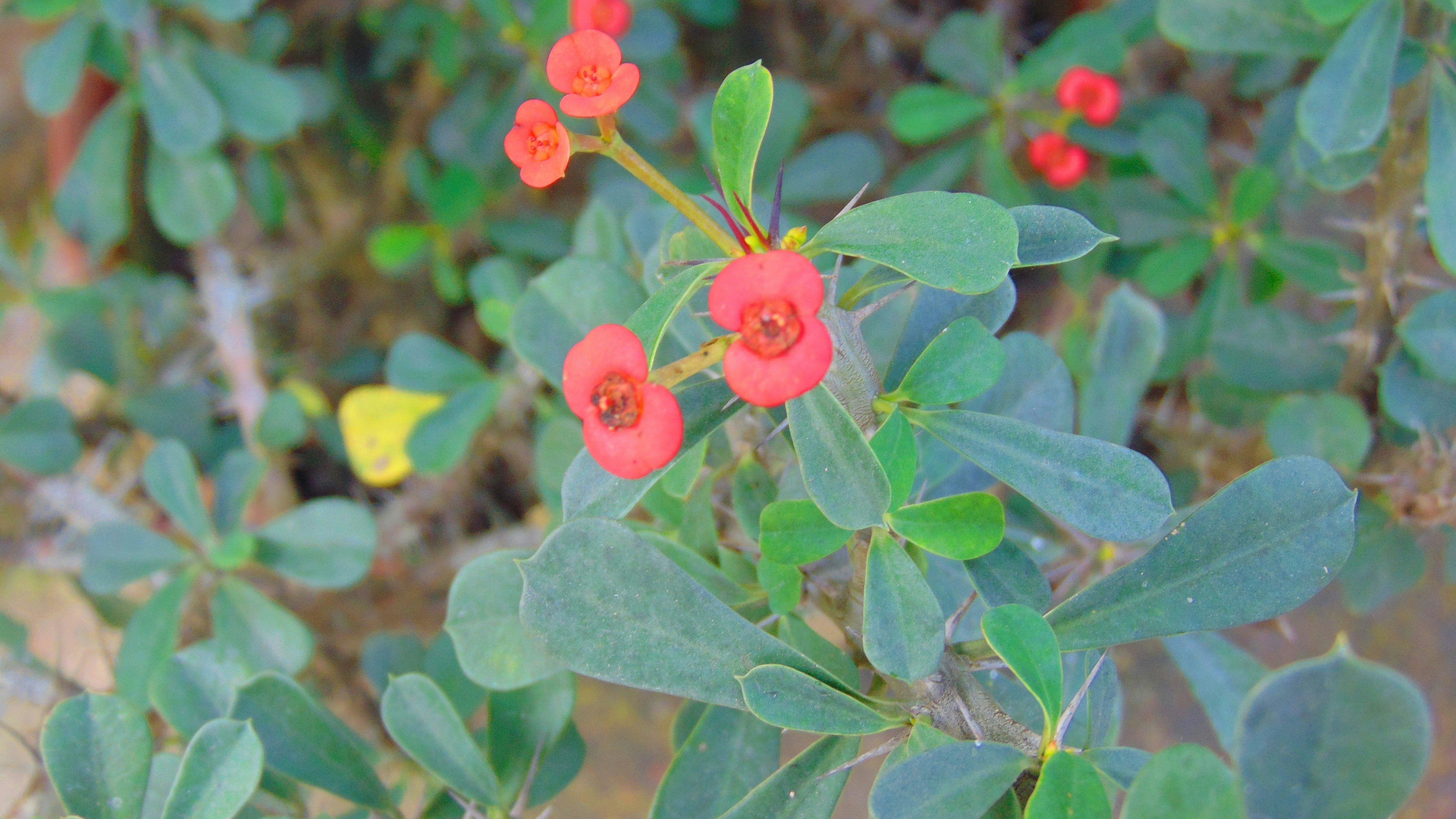 Photo by masumbinzafar