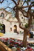 a tree in a flower bed in front of a building