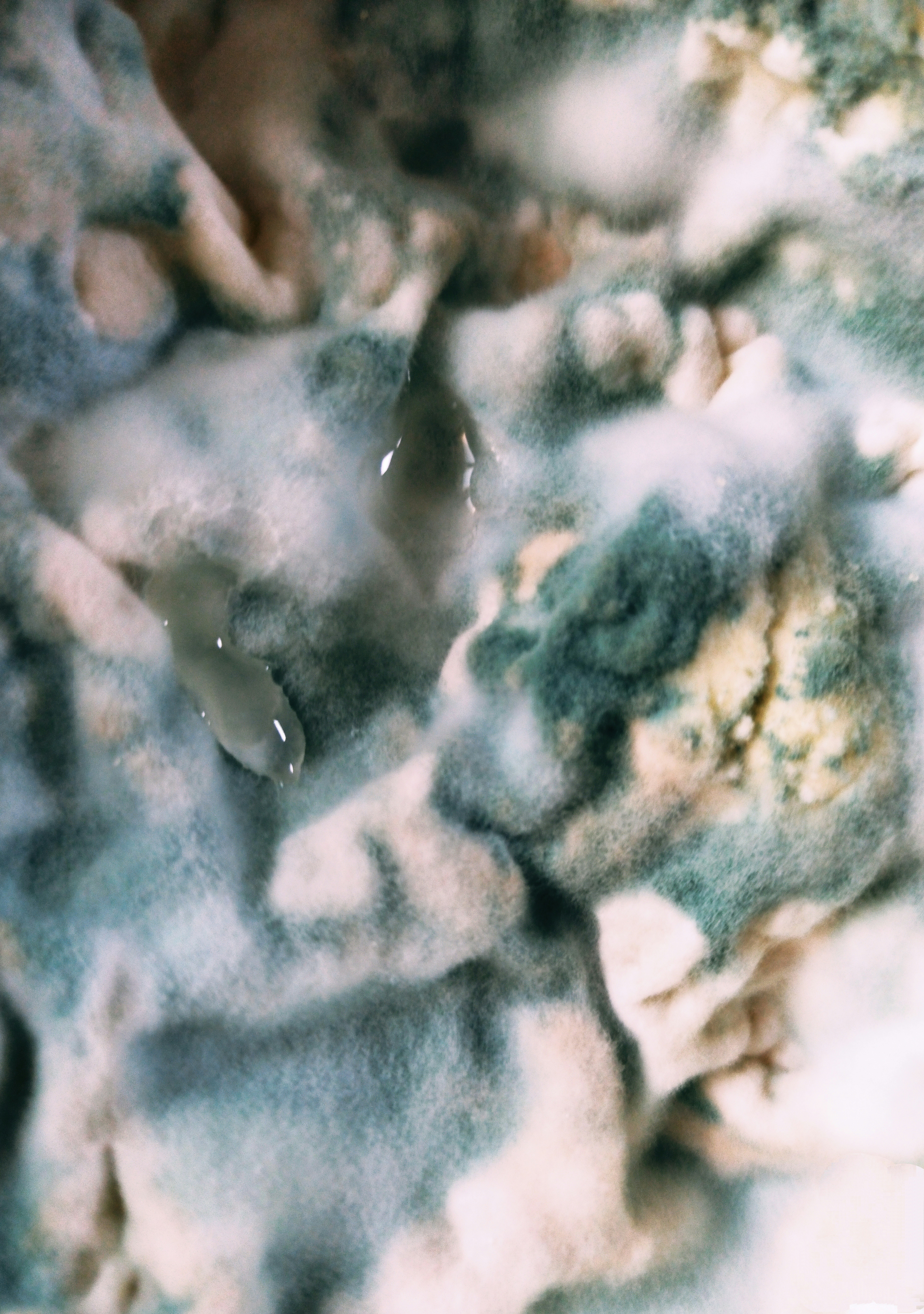 Handmade Tap Squishy