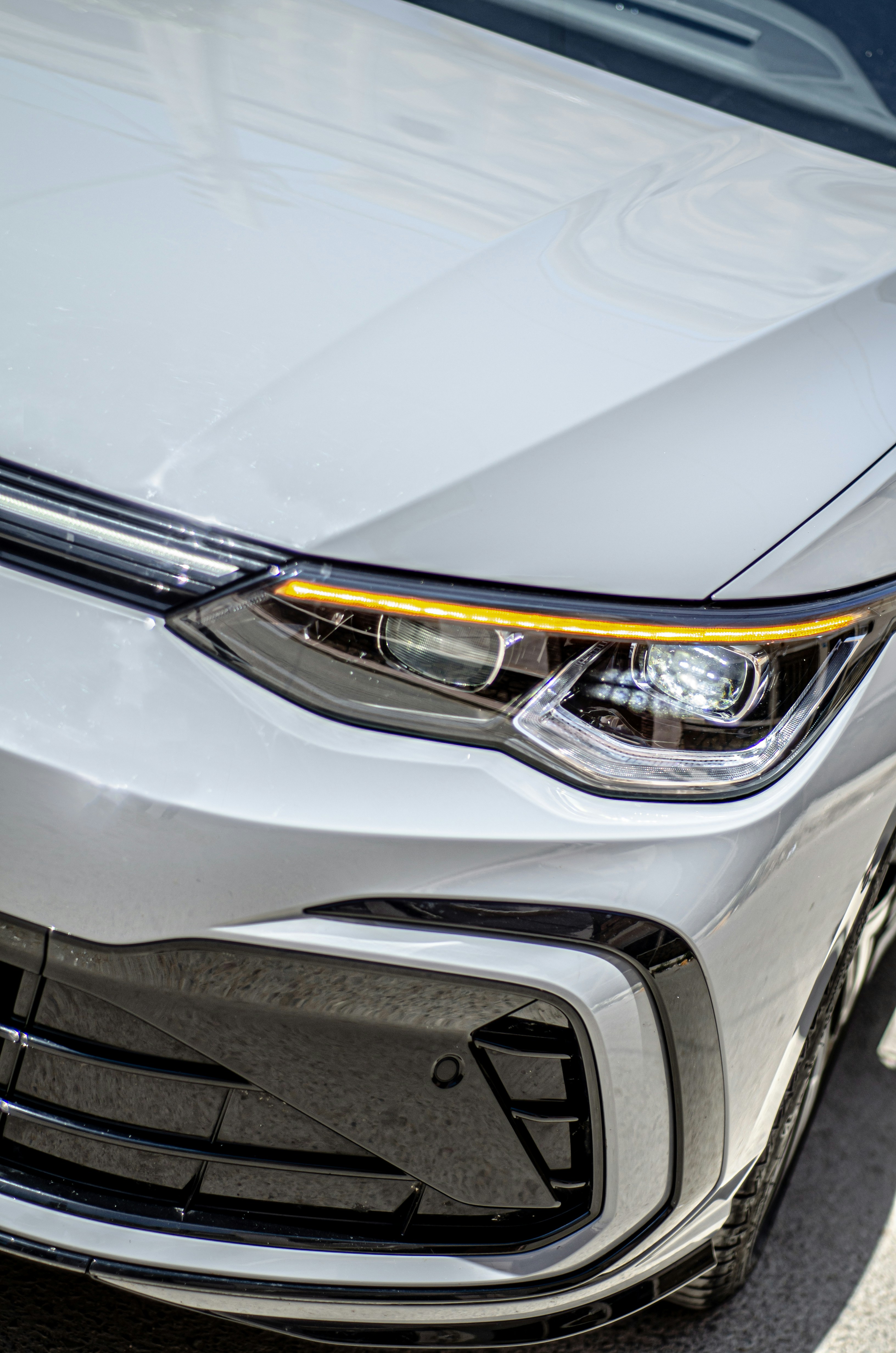 Photo by alpha_photographer