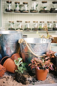 A collection of gardening materials including metal buckets with rope handles, small terracotta pots, and potted plants. There is loose soil scattered around, and in the background, a shelf displays multiple terrariums.