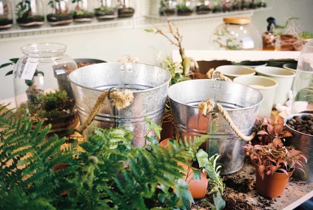 uma mesa coberta com baldes de metal cheios de plantas