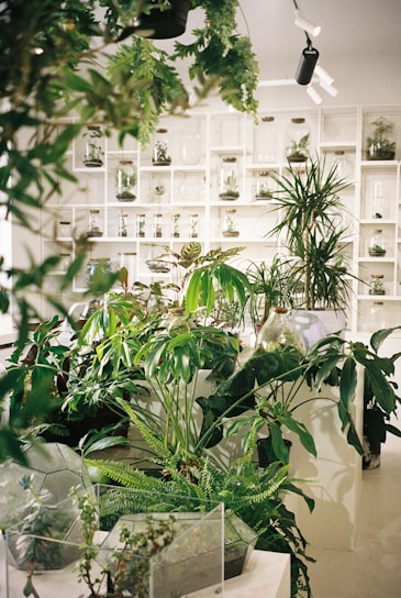 a room filled with lots of different types of plants