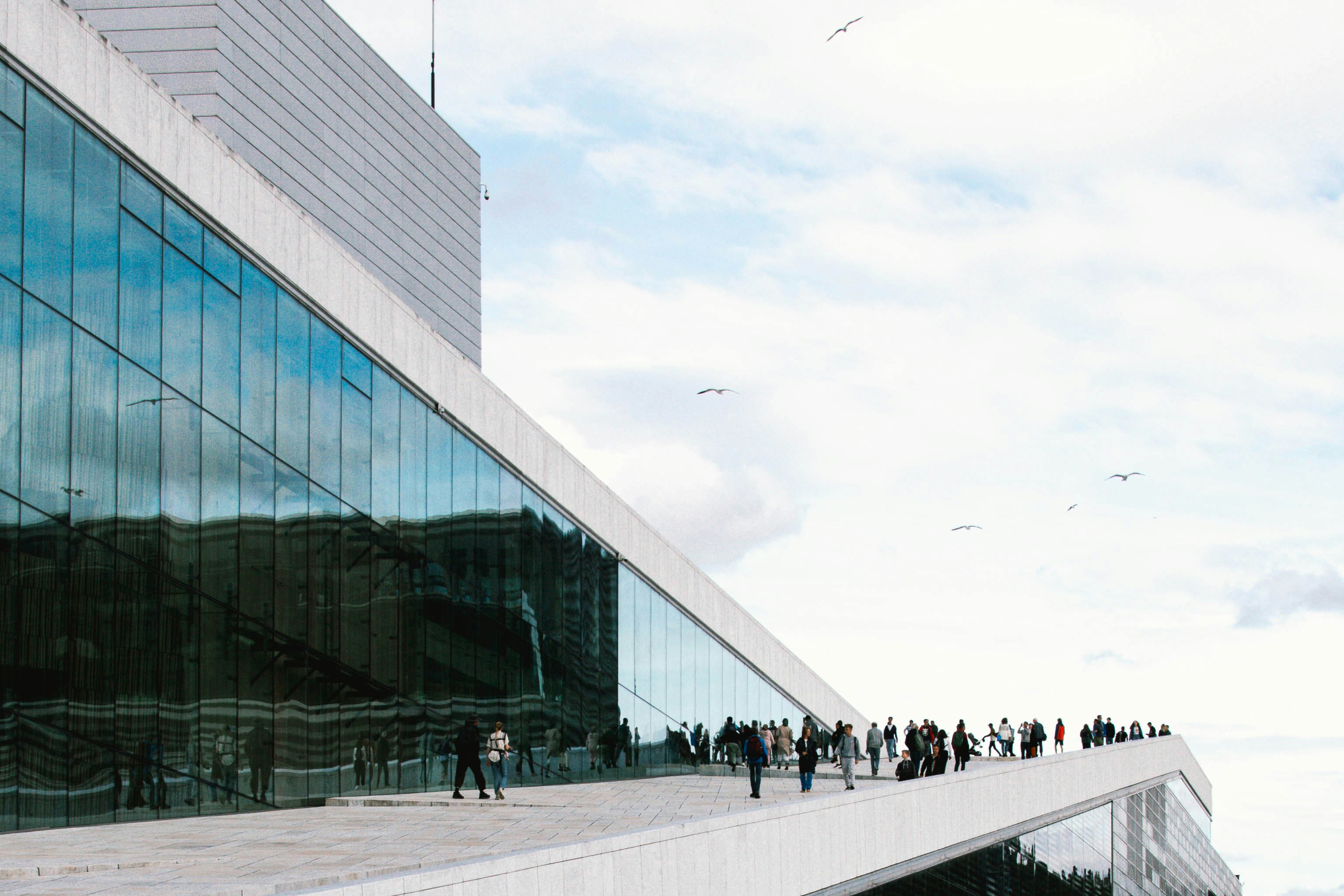 Photo by sabrinamazzeo