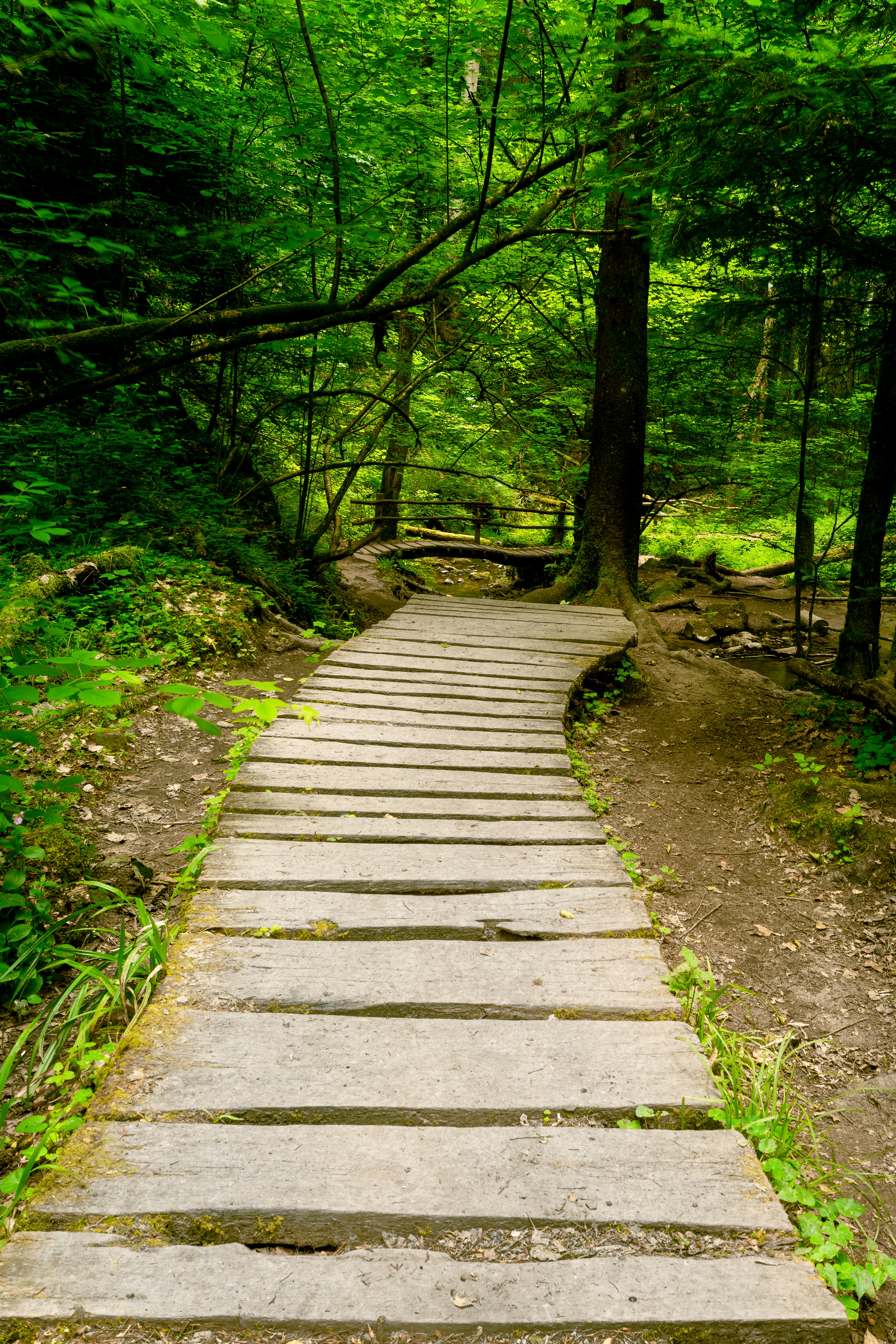 Photo by picture_scape