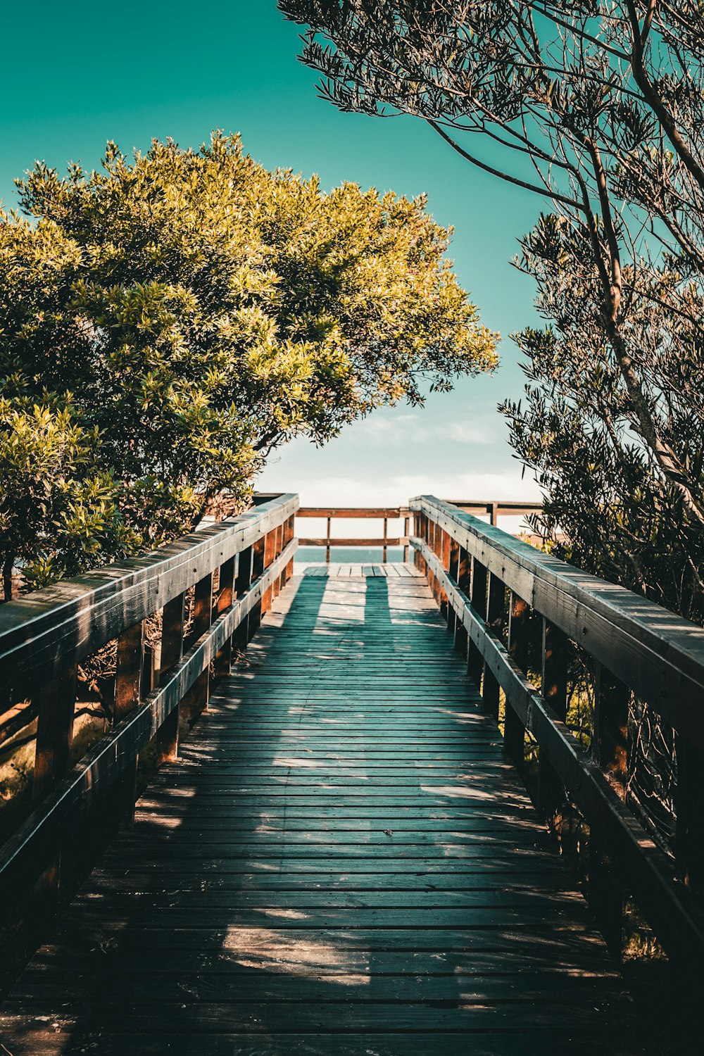 a wooden walkway leading to a beach with trees