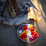 A vibrant outdoor setting with a fire bowl as the centerpiece surrounded by plants.