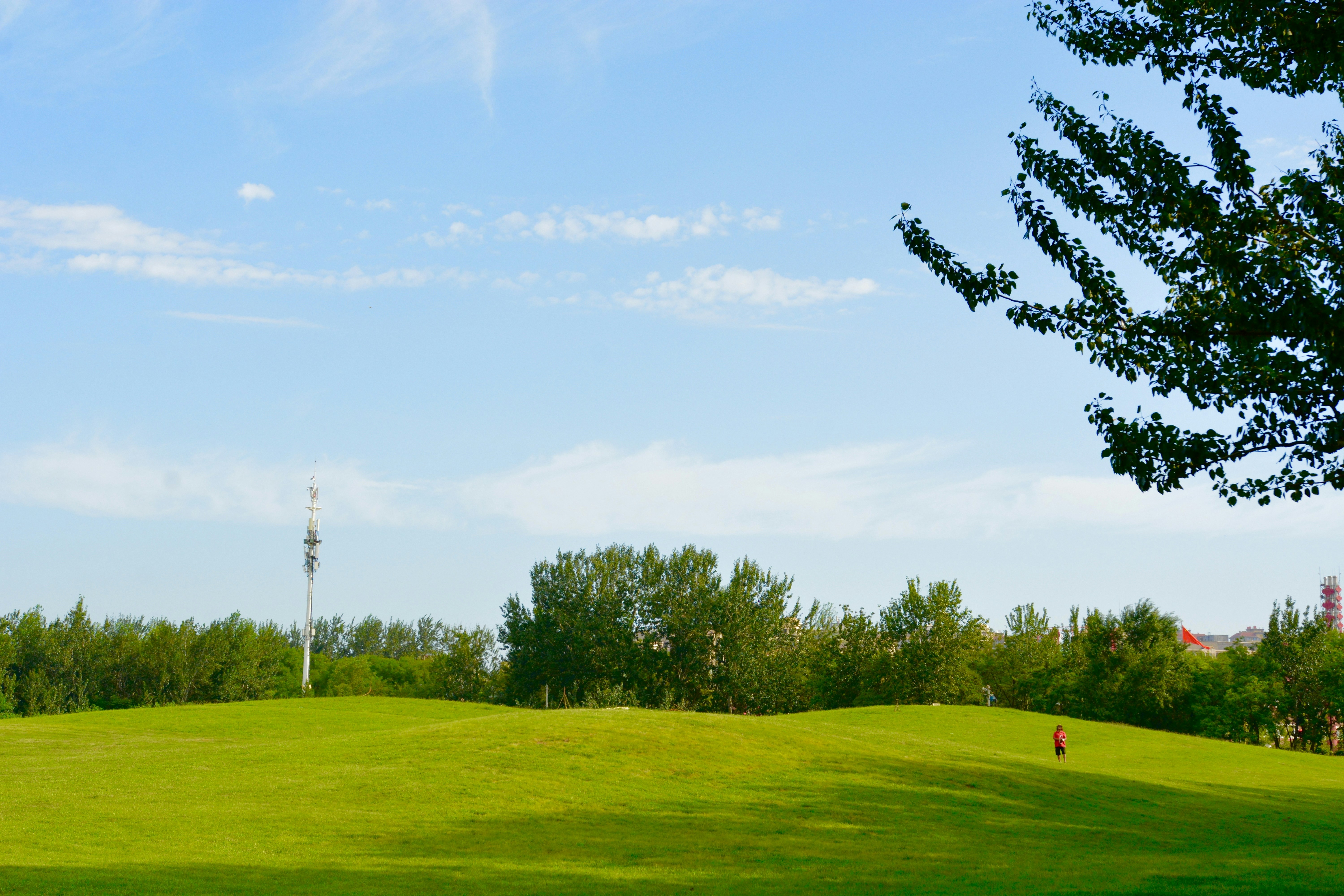 Photo by liuhongtian