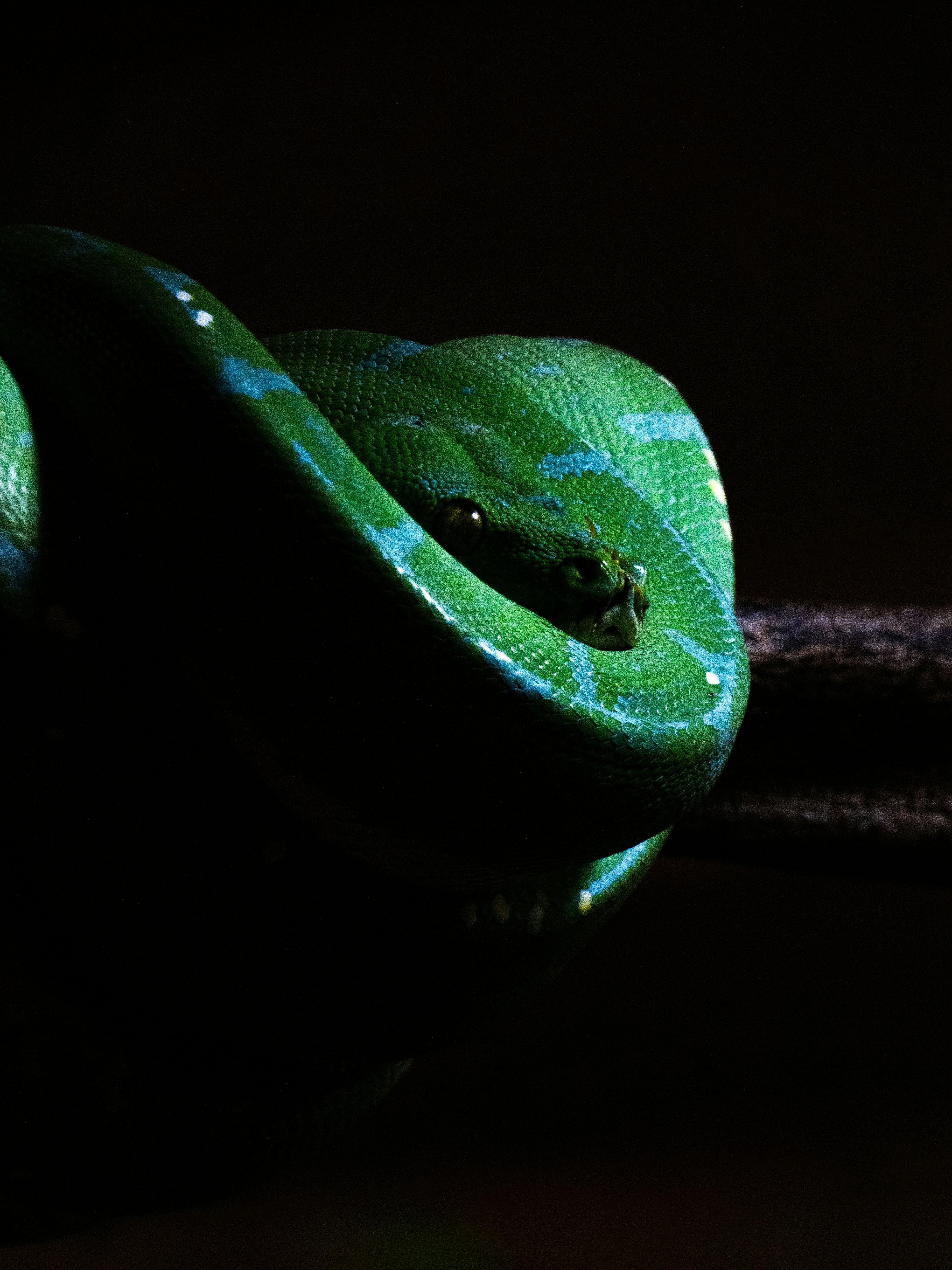 Photo by justmeandcamera