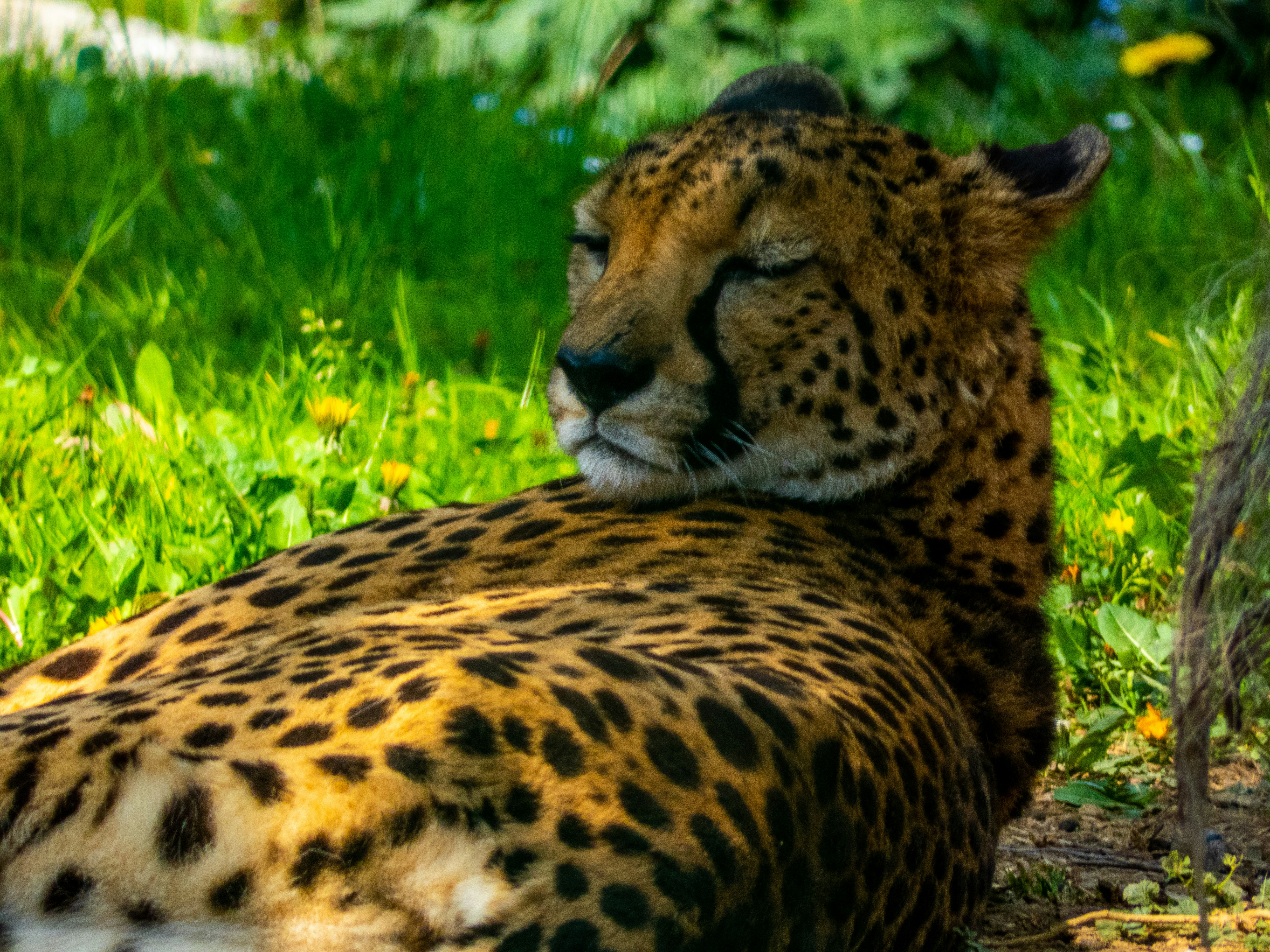 Photo by justmeandcamera