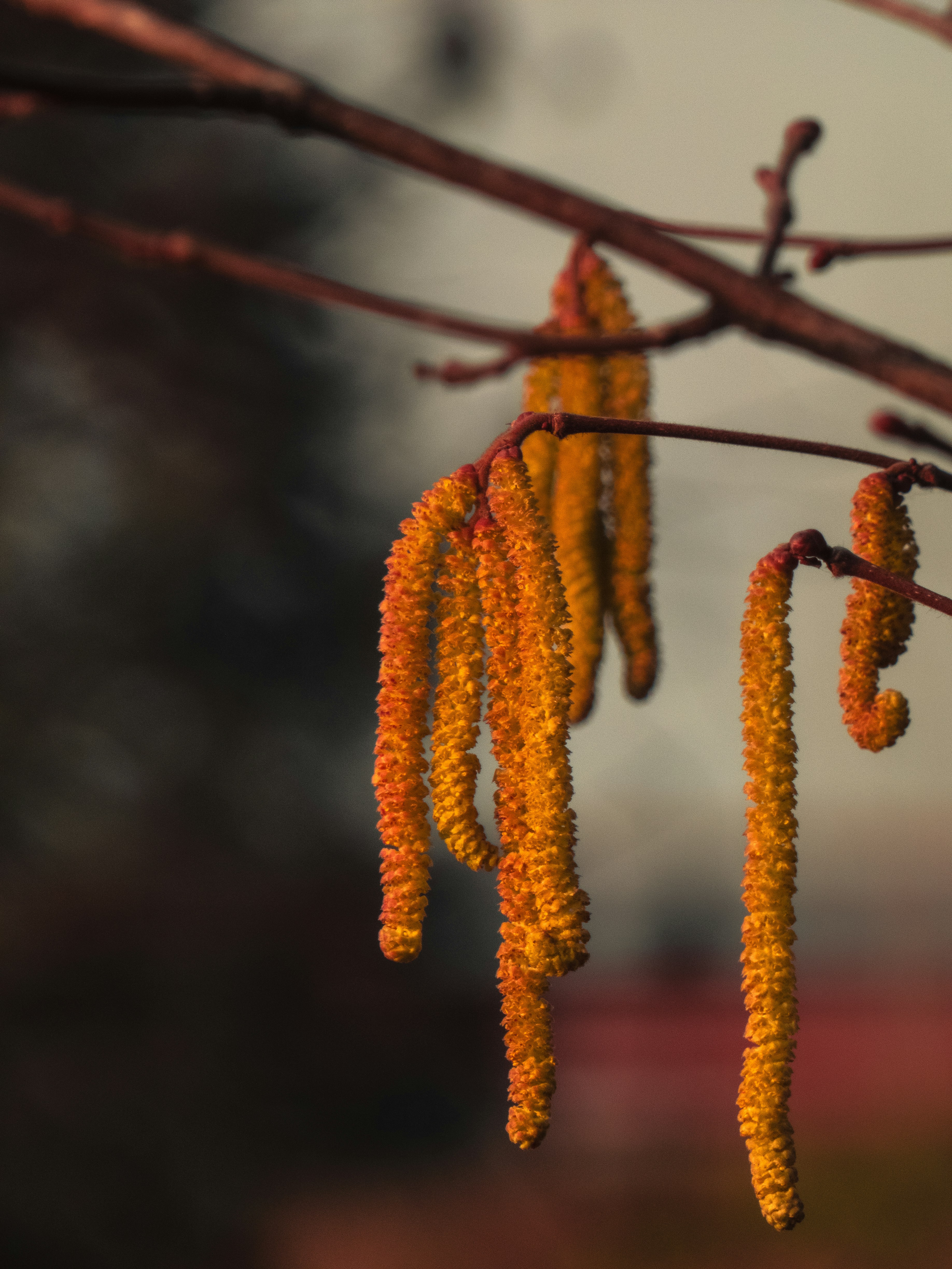 Photo by justmeandcamera