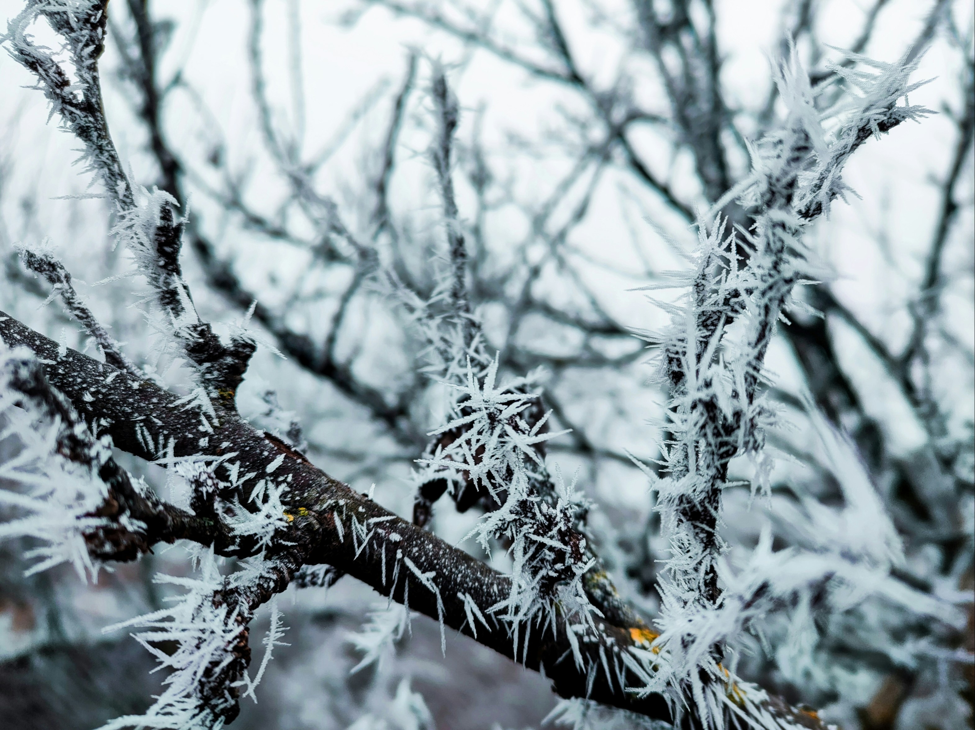 Photo by giga_goriashvili