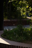 A tranquil outdoor garden space with lush greenery and gentle sunlight.