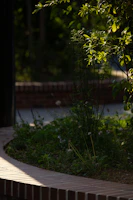 A serene shaded garden corner filled with lush, shade-loving greenery.