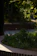 A serene, lush garden corner with native plants and soft natural light.