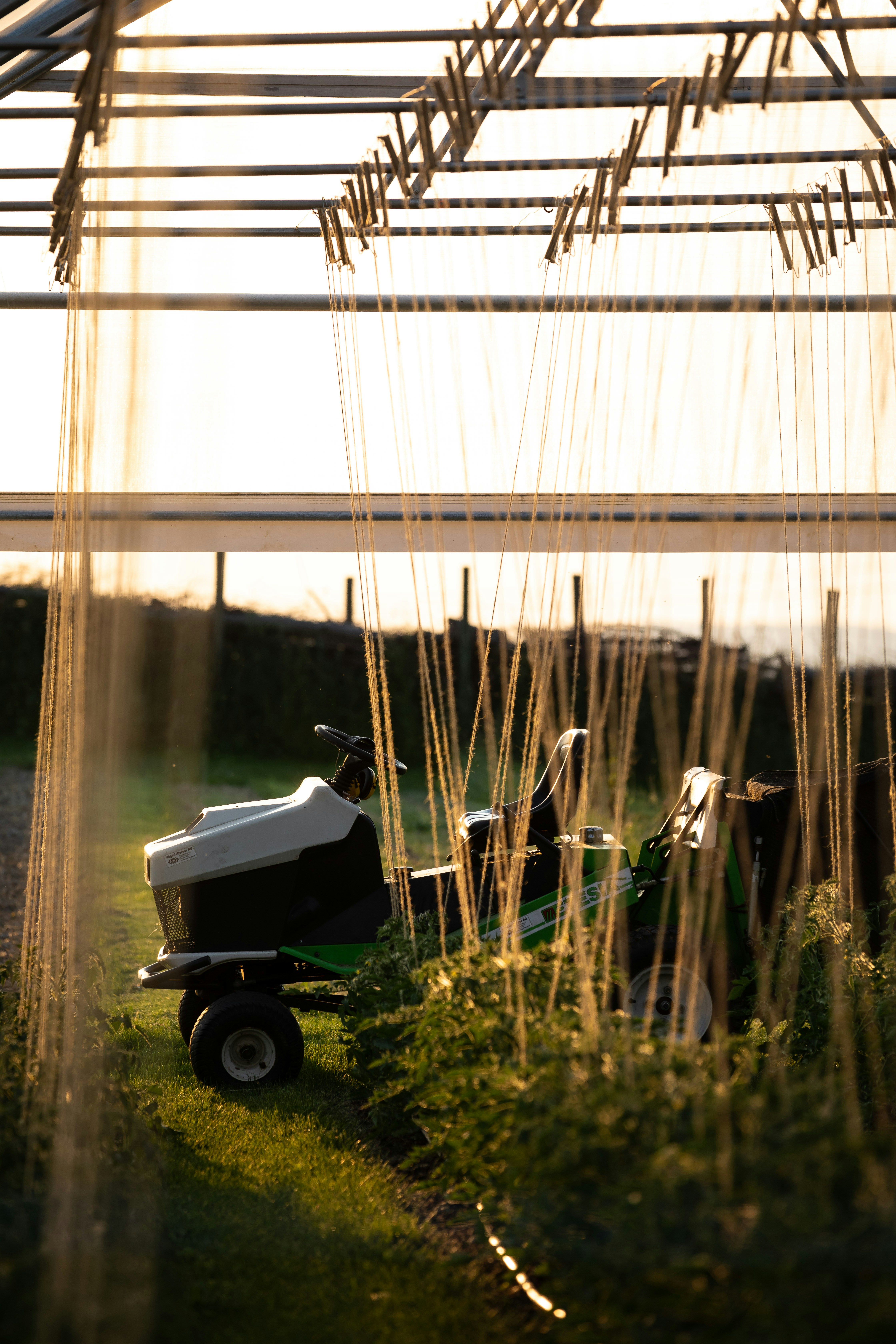 A row of lawn mowers sitting in the grass photo – Free Schweiz Image on ...