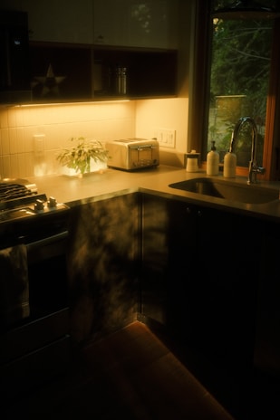 A warmly lit kitchen corner featuring a countertop with a potted plant, a toaster, and several soap dispensers near a stainless steel sink. The wooden cabinetry and appliances are partially illuminated by soft natural light coming through a window, creating an inviting and serene atmosphere.