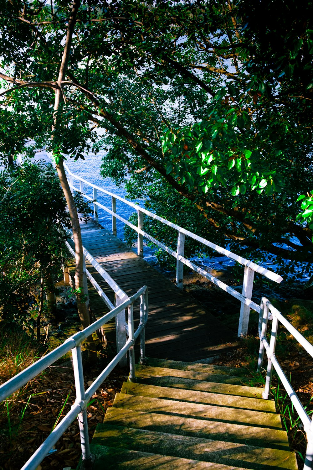 a set of stairs leading down to the water